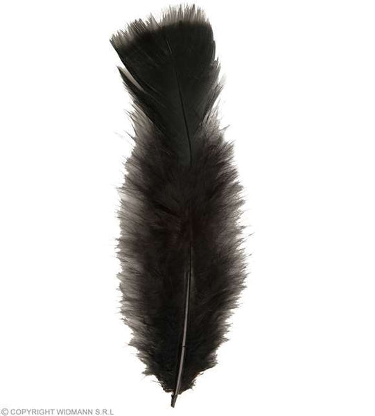 50 plumes noires env.10 cm