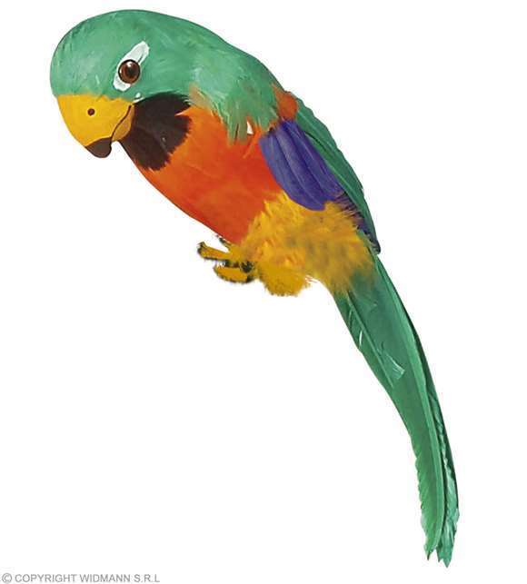 Perroquet à plumes vertes