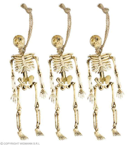 3 squelettes 15 cm